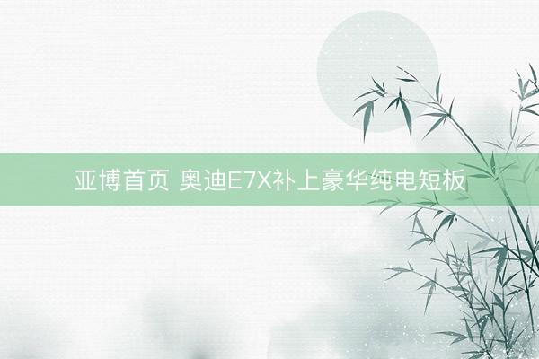 亚博首页 奥迪E7X补上豪华纯电短板