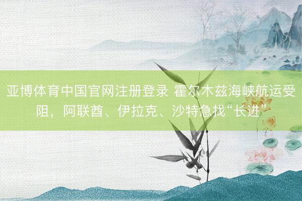 亚博体育中国官网注册登录 霍尔木兹海峡航运受阻，阿联酋、伊拉克、沙特急找“长进”